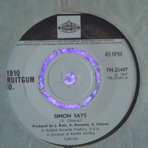 Simon Says Image