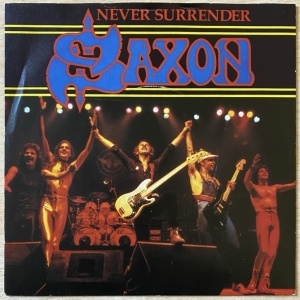 Never Surrender Image