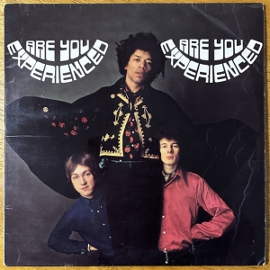 Are You Experienced? Image