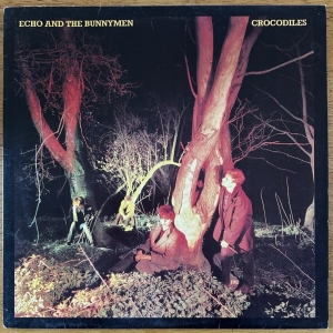 Crocodiles Image