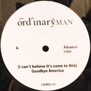 (I Can't Believe Its Come To This) Goodbye America Image