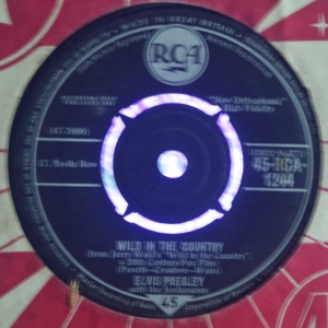Wild In The Country Image