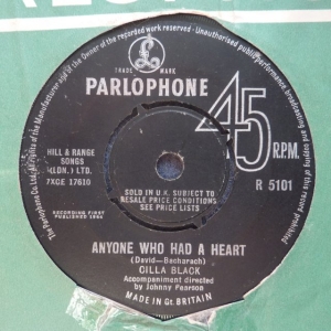 Anyone Who Had A Heart Image