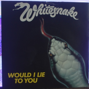 Would I Lie To You Image