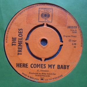 Here Comes My Baby Image