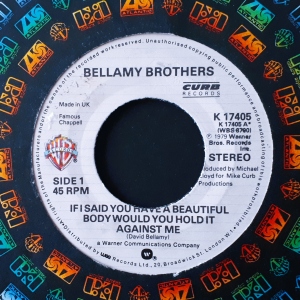 If I Said You Have A Beautiful Body Would You Hold It Against Me Image