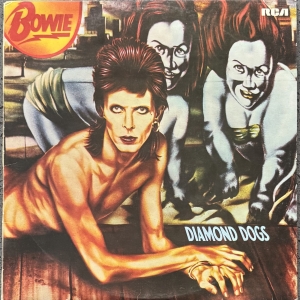 Diamond Dogs Image