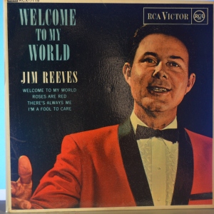 Welcome To My World EP Image