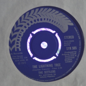 The Lightning Tree Image