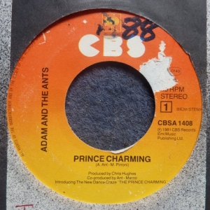 Prince Charming Image