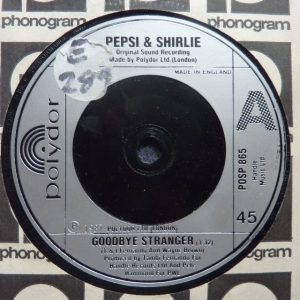 Goodbye Stranger Image