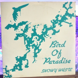 Bird Of Paradise Image