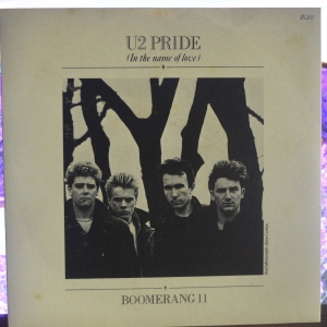 Pride (In The Name Of Love) Image