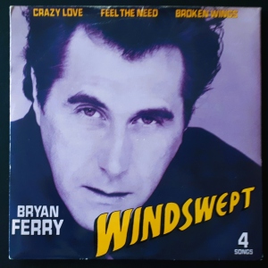 Windswept Image