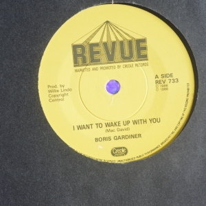 I Wanna Wake Up With You Image