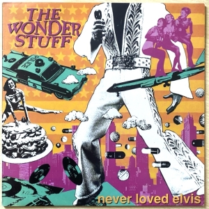 Never Loved Elvis Image