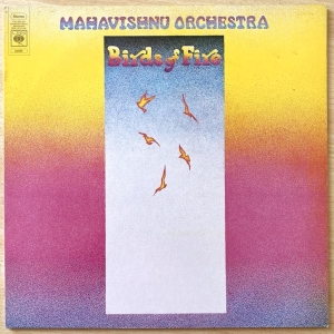 Birds Of Fire Image