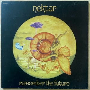 Remember The Future Image