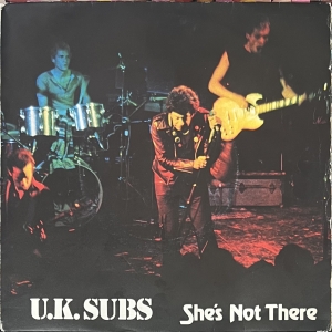She's Not There Image