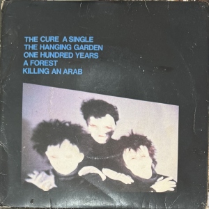 A Single (The Hanging Garden) Image