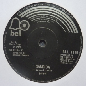 Candida Image