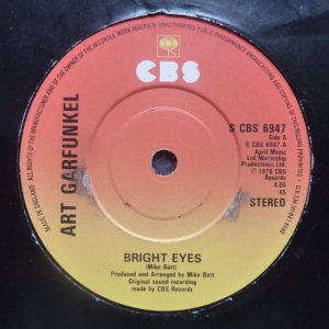 Bright Eyes Image