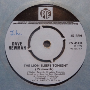 The Lion Sleeps Tonight (Wimoweh) Image