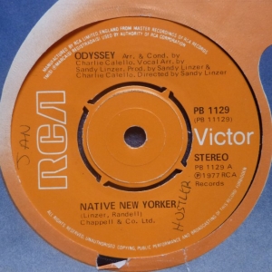 Native New Yorker Image