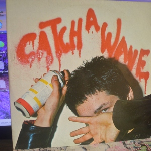 Catch A Wave Image