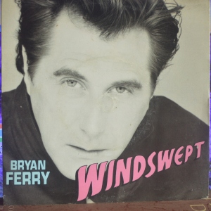 Windswept Image