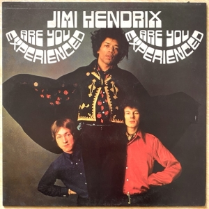 Are You Experienced? Image