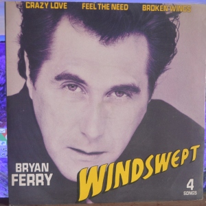 Windswept Image
