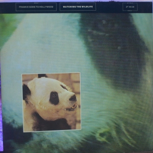 Watching The Wildlife Image