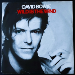 Wild Is The Wind Image