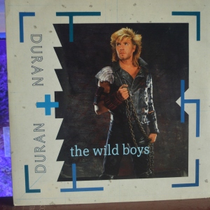 The Wild Boys Image