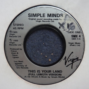 This Is Your Land Image