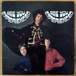 Are You Experienced? Image