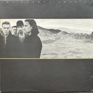The Joshua Tree Image