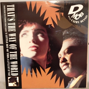 That's The Way Of The World (Remix) Image