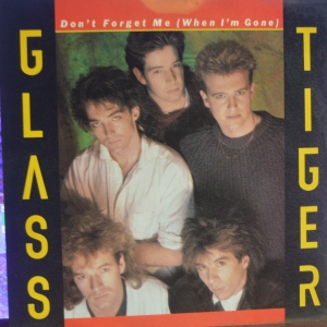 Don't Forget Me (When I'm Gone) Image