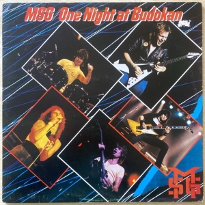 One Night At Budokan Image