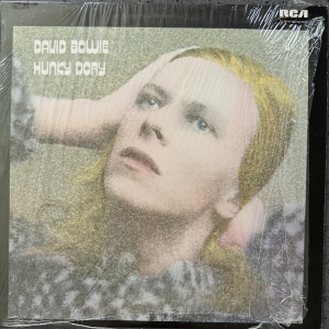 Hunky Dory Image