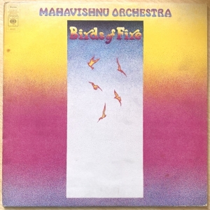 Birds Of Fire Image