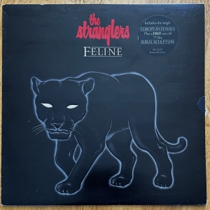 Feline Image