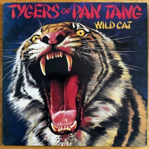Wild Cat Image