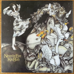 Never For Ever Image