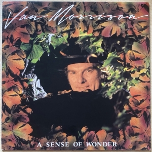 A Sense Of Wonder Image