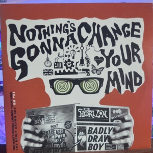 Nothing's Gonna Change Your Mind Image