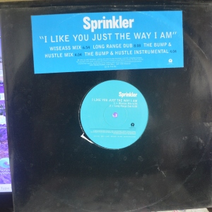 I Like You Just the Way I Am Image