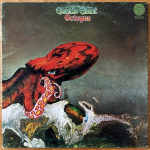 Octopus Image
